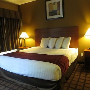 Deluxe Studio Suite